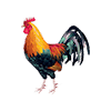 ไก่ชน icon